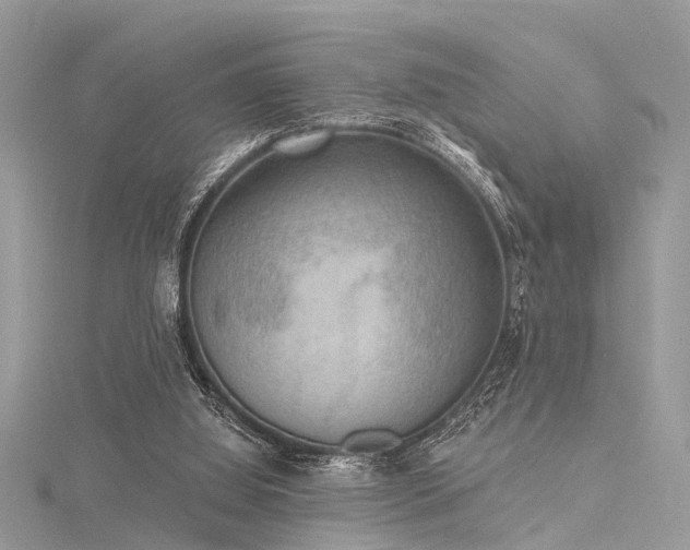 X0000116300060200911301450