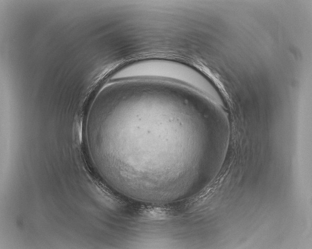 X0000116300062200911301450