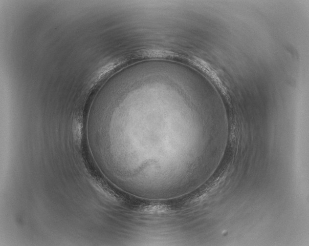 X0000116300063200911301450