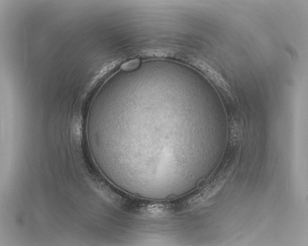 X0000116300064200911301450