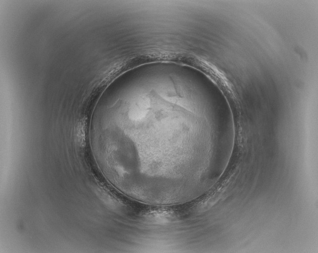 X0000116300065200911301450