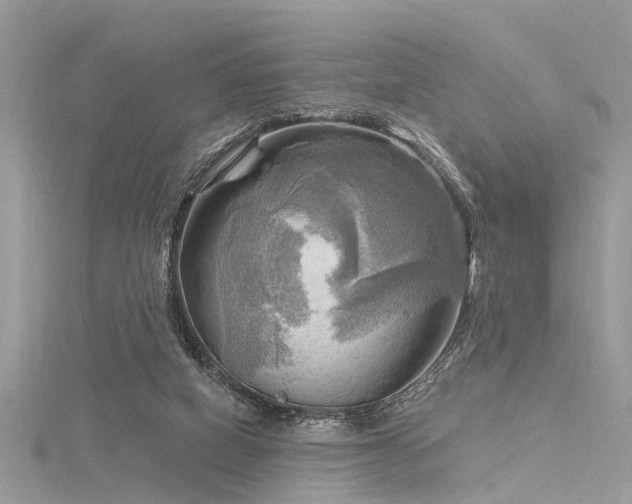 X0000116300066200911301450