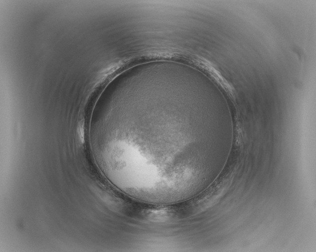 X0000116300068200911301450