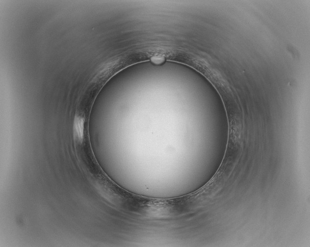 X0000116300070200911301450