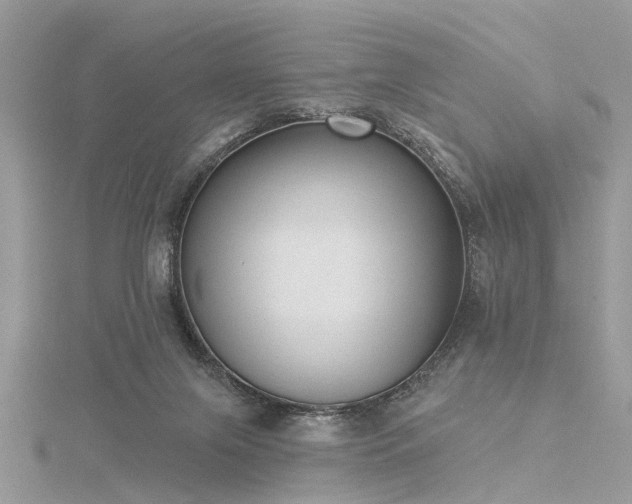 X0000116300071200911301450