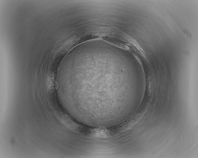 X0000116300073200911301450