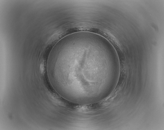 X0000116300074200911301450