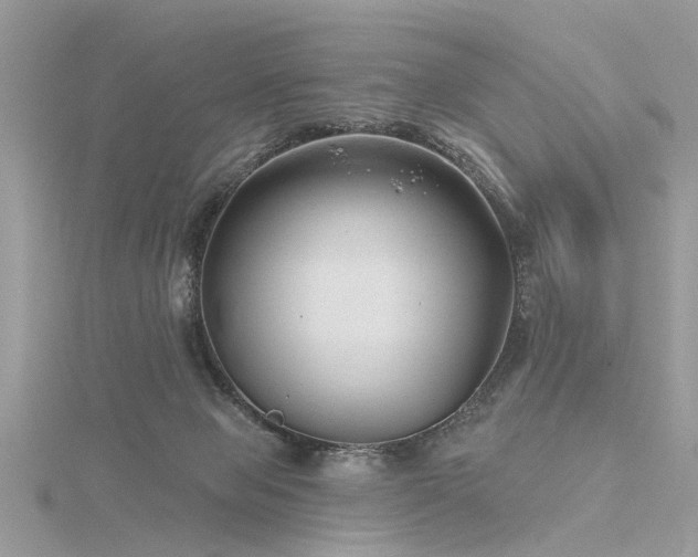 X0000116300077200911301450