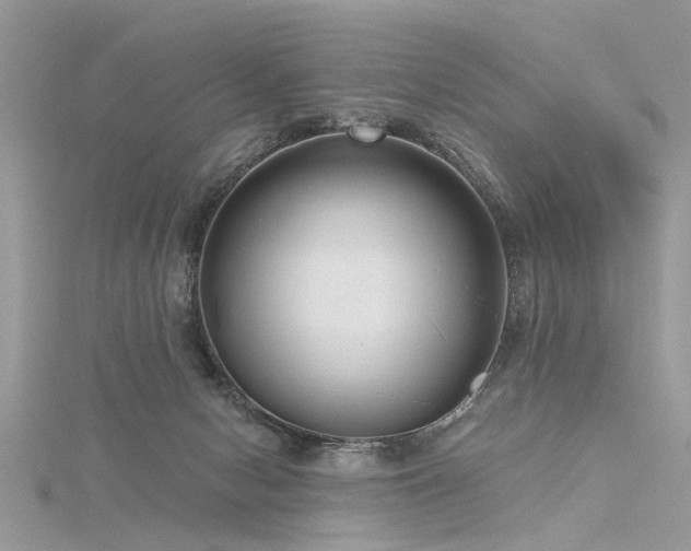 X0000116300078200911301450