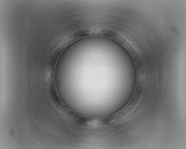 X0000116300079200911301450