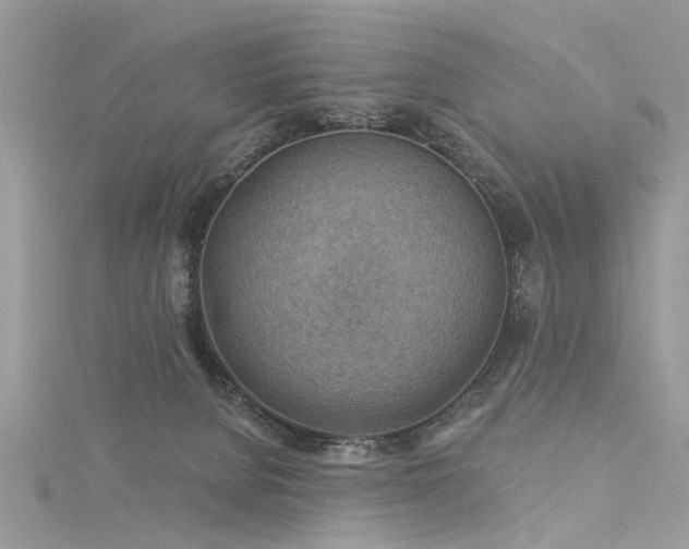 X0000116300080200911301450