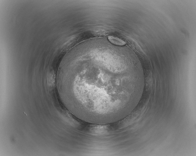 X0000116300081200911301450