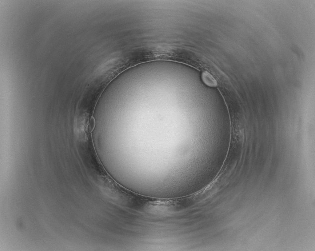 X0000116300082200911301450