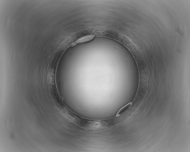 X0000116300083200911301450