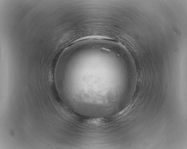 X0000116300086200911301450