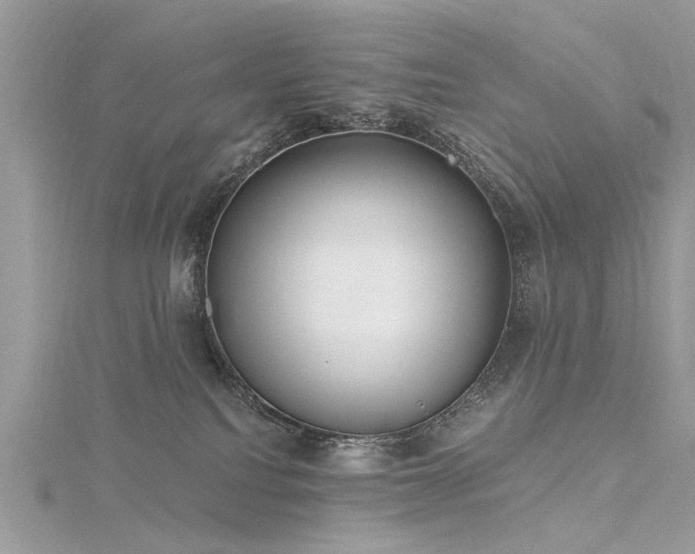 X0000116300088200911301450