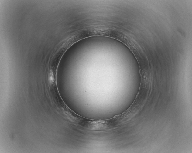 X0000116300089200911301450