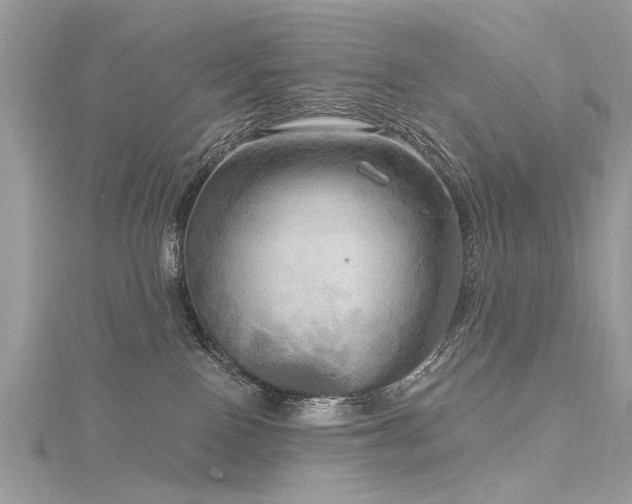 X0000116300090200911301450