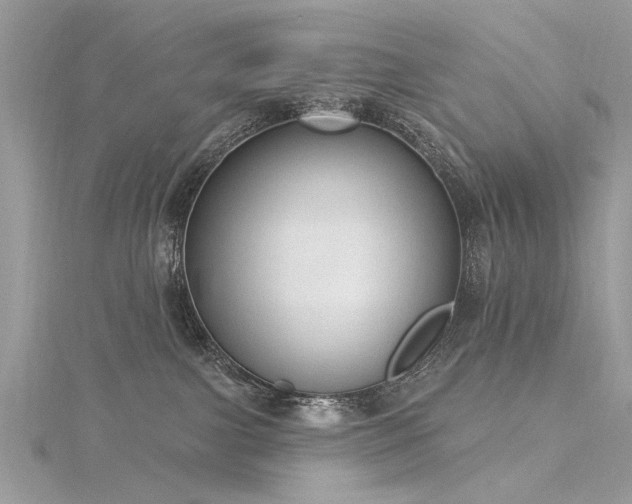 X0000116300091200911301450