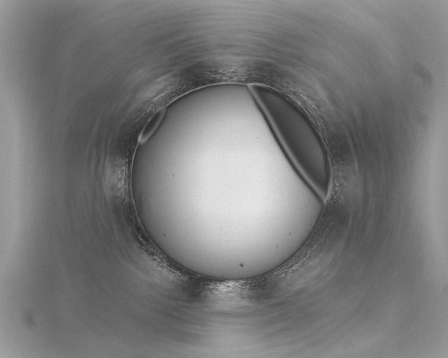 X0000116300092200911301450