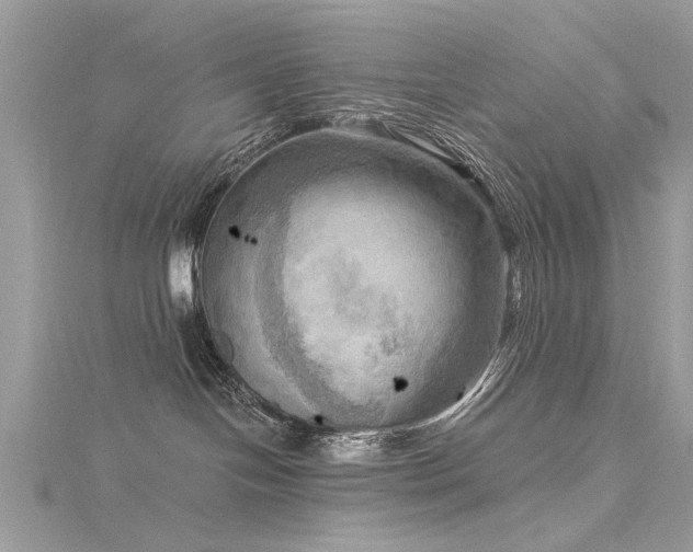 X0000116300094200911301450