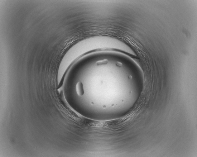 X0000116300096200911301450