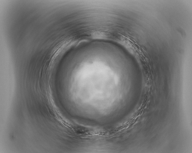 X0000116300097200911301450