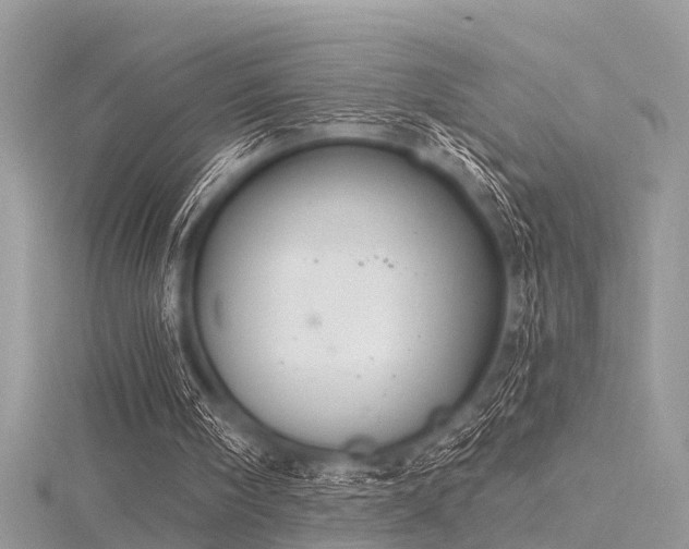 X0000116300098200911301450