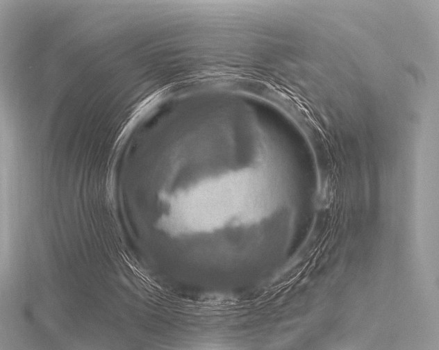 X0000116300099200911301450