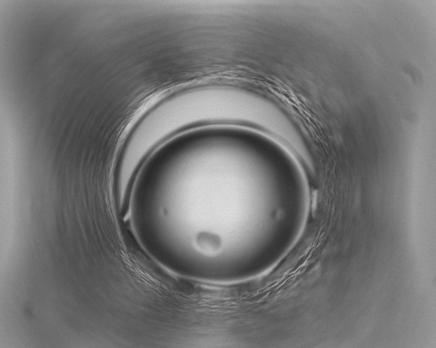 X0000116300100200911301450