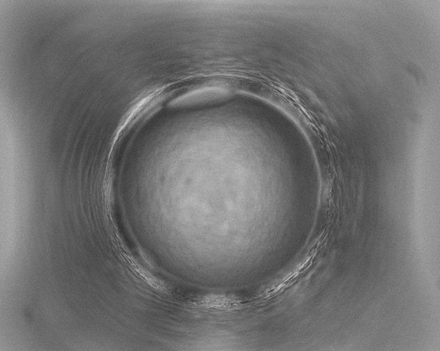 X0000116300101200911301450