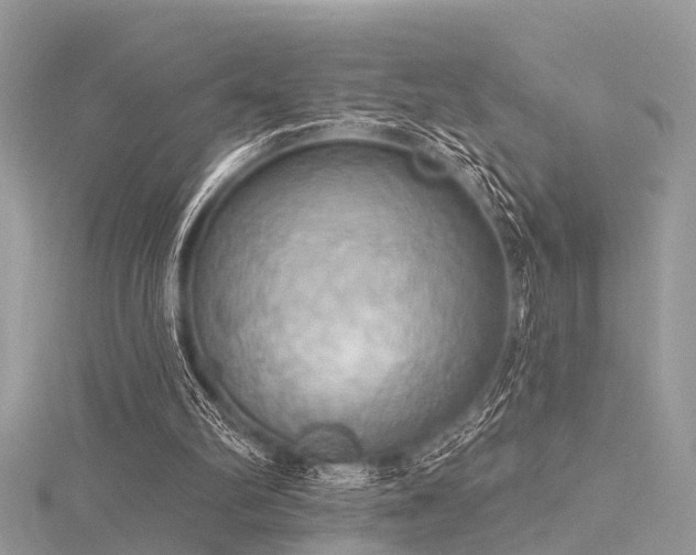 X0000116300102200911301450