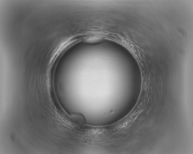 X0000116300103200911301450