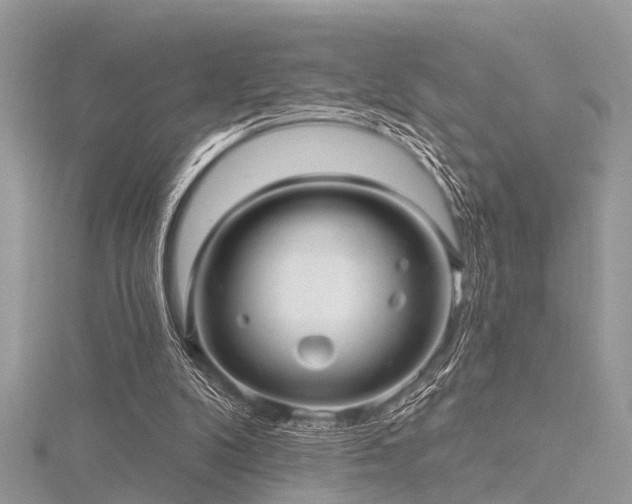 X0000116300104200911301450