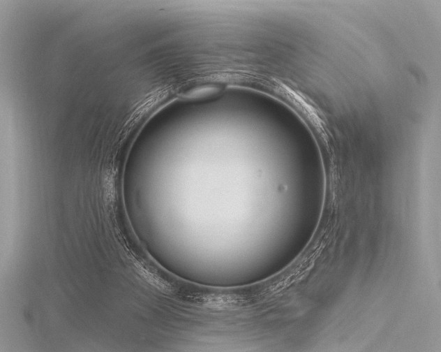 X0000116300105200911301450