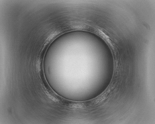 X0000116300106200911301450