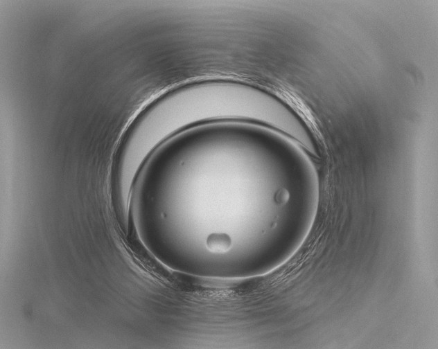 X0000116300108200911301450