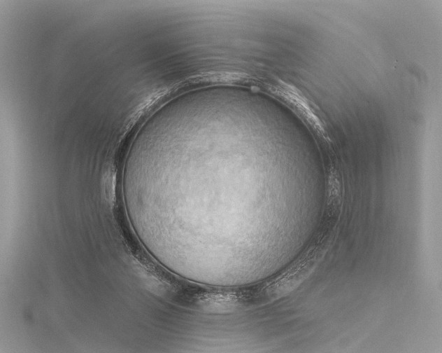 X0000116300110200911301450