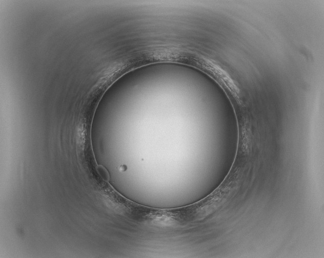 X0000116300113200911301450