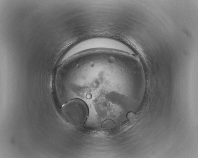 X0000116300115200911301450