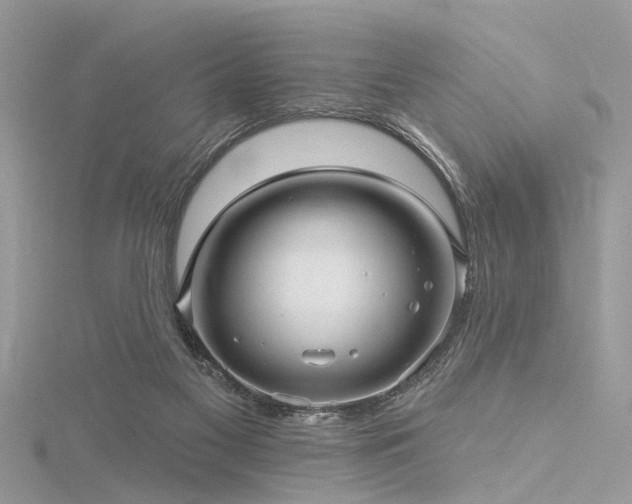 X0000116300117200911301450