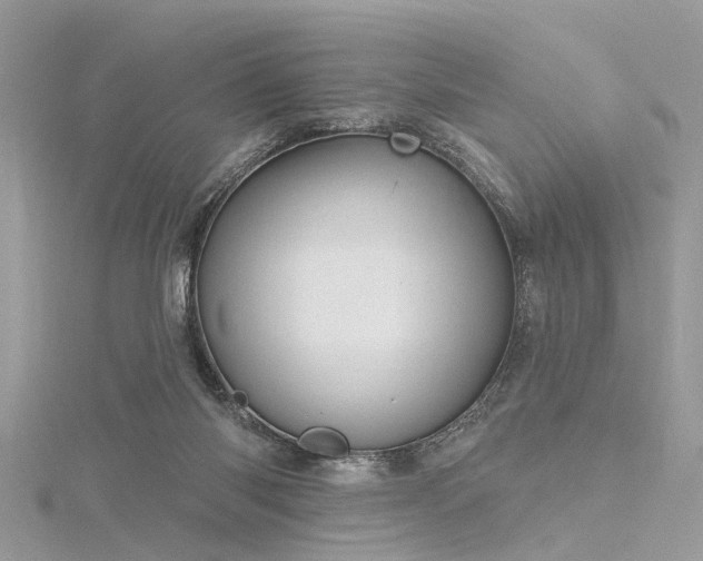 X0000116300118200911301450