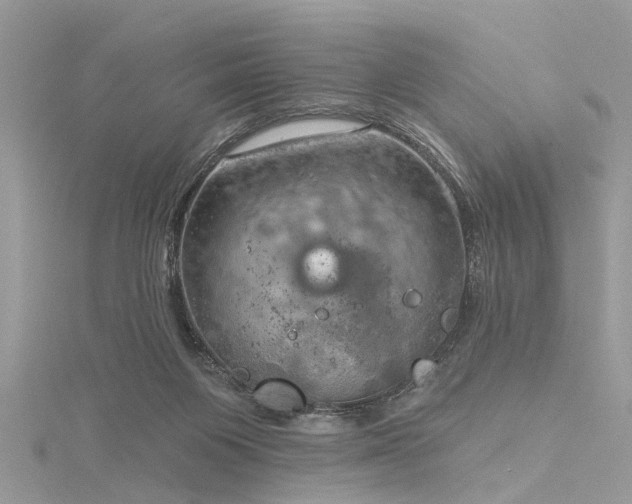 X0000116300119200911301450