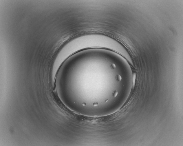 X0000116300120200911301450