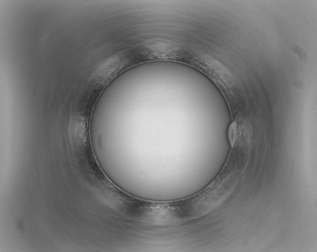 X0000116300121200911301450