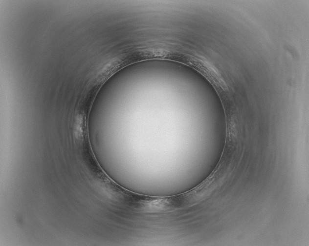 X0000116300122200911301450