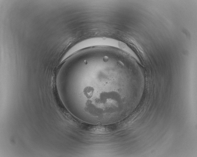 X0000116300123200911301450