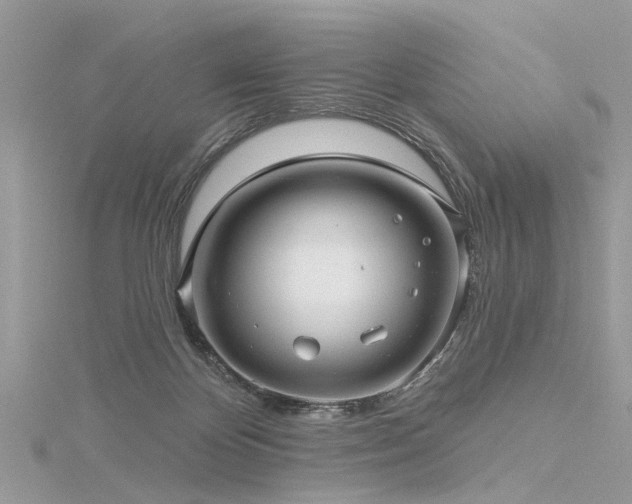 X0000116300124200911301450