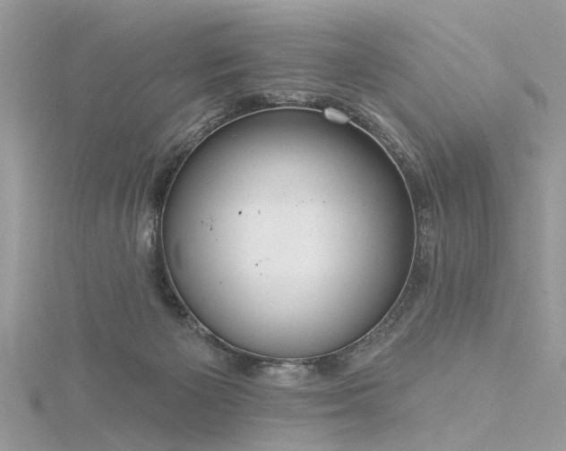 X0000116300125200911301450