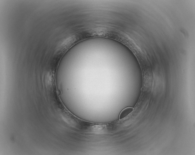 X0000116300126200911301450